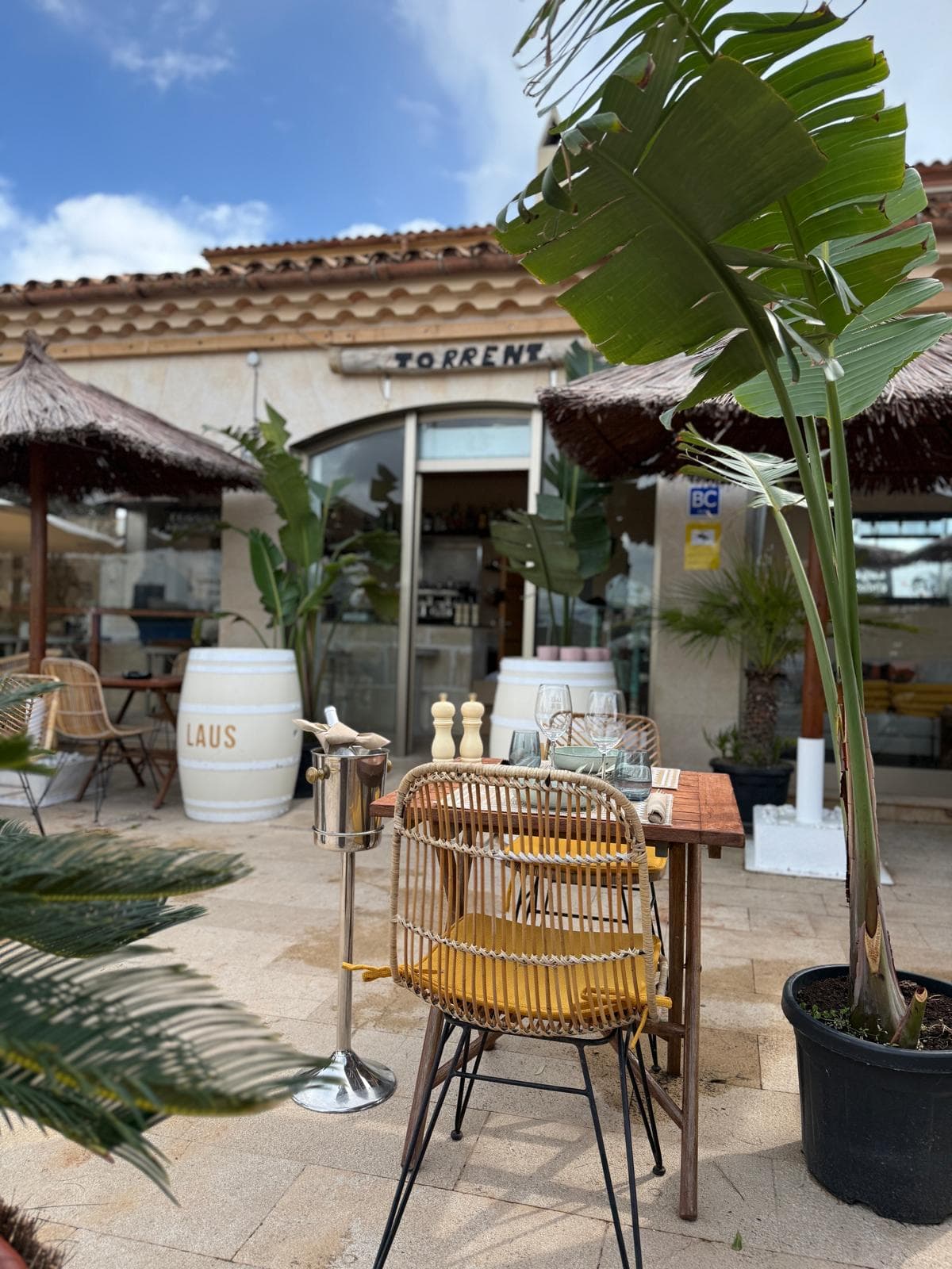 Sommerabend bei Conni Torrent